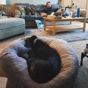 Meet your Posher, Warren